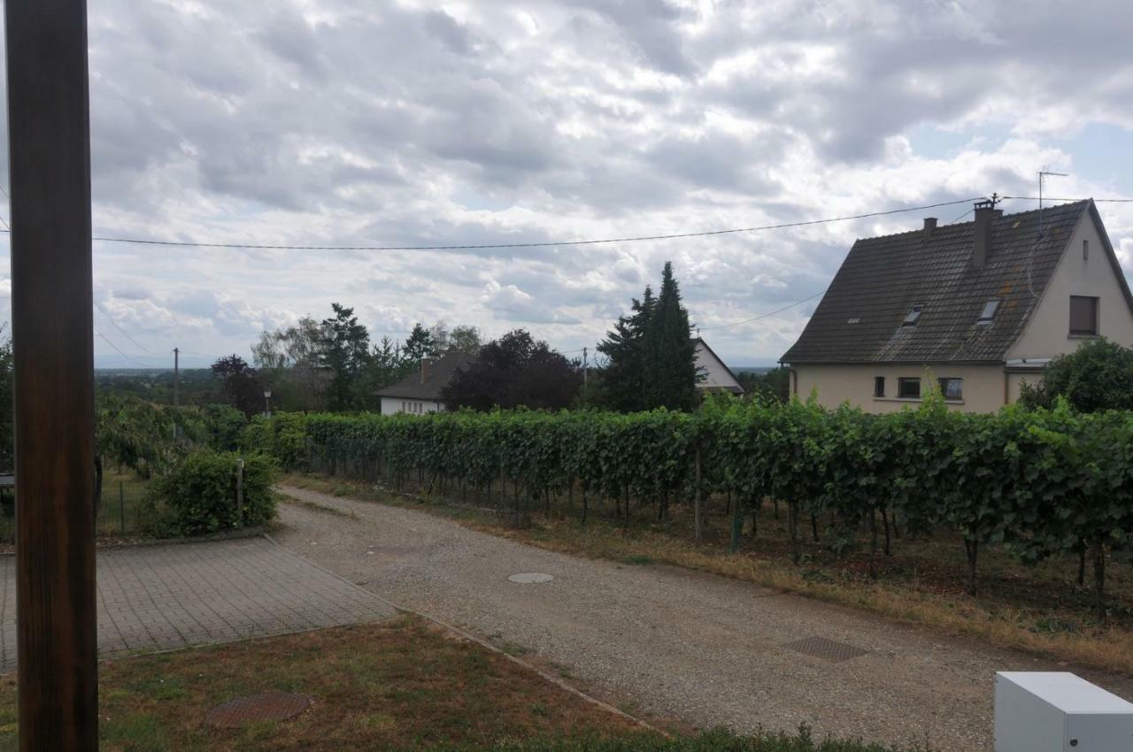 Villa Les Cerisiers Bernardswiller Exterior foto